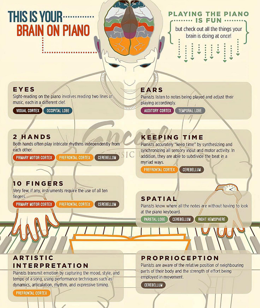 Playing piano brain